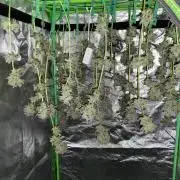 Fast.Farm