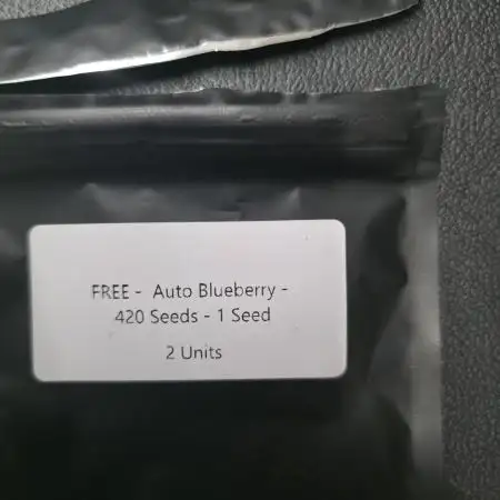 Auto Blueberry