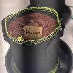 Bruce Banner Auto