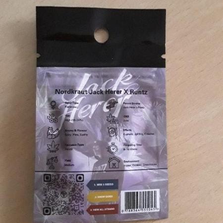 Nordkraut Jack Herer X Runtz