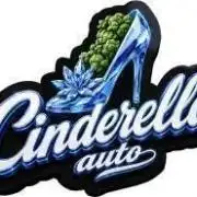 Cindarella AUTO GROWREPORT