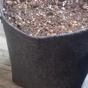 !FastBuds FBA unpublished TESTER GROW!