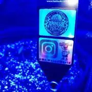 Amnesia Haze Automatic GROWREPORT