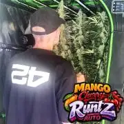 NEW Mango Cherry Runtz Automatic RDWC