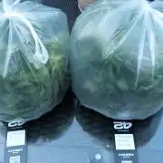 Strawberry Gorilla Automatic Fastbuds