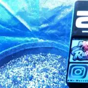 MangoCherryRuntz