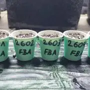 !FastBuds FBA unpublished TESTER GROW!