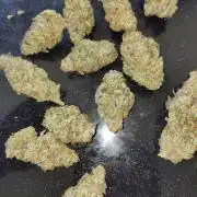 OSS Papaya stank fem