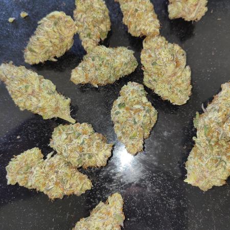 OSS Papaya stank fem