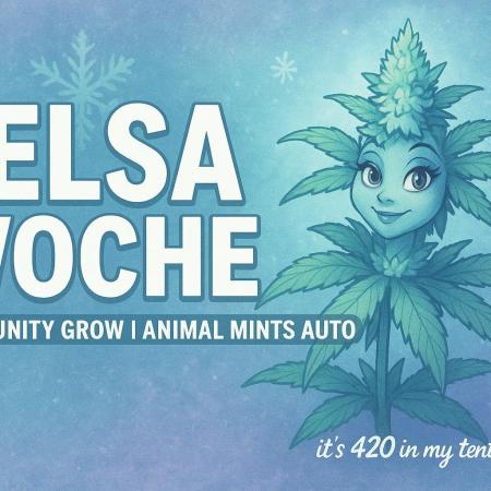 Community Grow Oct 2025 ELSA
