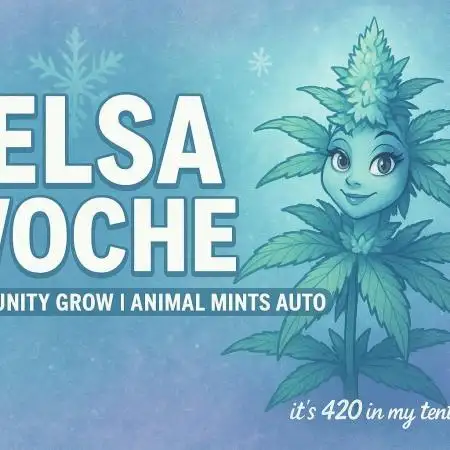 Community Grow Oct 2025 ELSA
