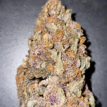 First Grow (lord have mercy)