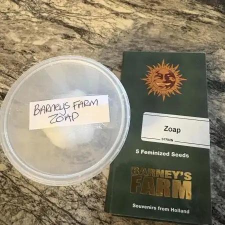 Barneys farm zoap