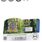 Sweet Seeds:Gorilla GirlxSan Fernando LK