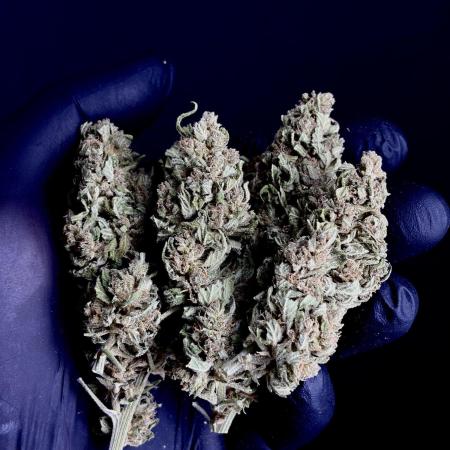 +Speed Auto 3G (SWS27) Outdoor