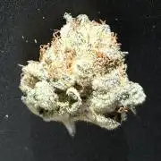 FAST&SWEET_Buds in cocos-3round