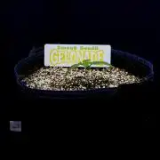 Bio-Hydro | AI+Grow | New Strains⁠ |