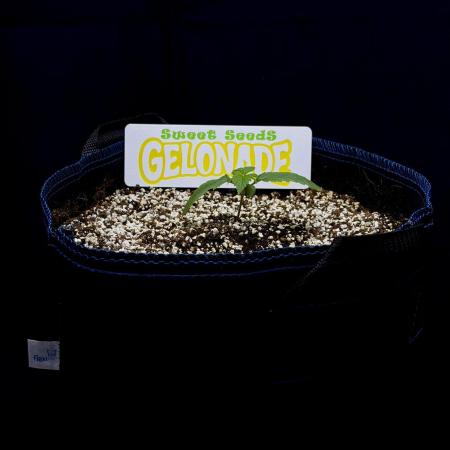 Bio-Hydro | AI+Grow | New Strains⁠ |