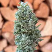 +Speed Auto 3G (SWS27) Outdoor
