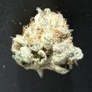 FAST&SWEET_Buds in cocos-3round