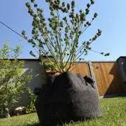 +Speed Auto 3G (SWS27) Outdoor