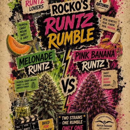 Rocko's Runtz Rumble