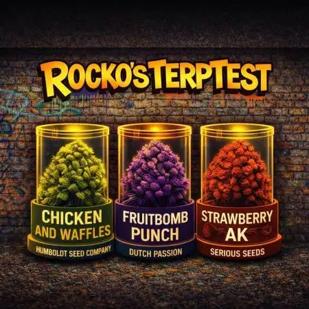 Rocko's Terp Test