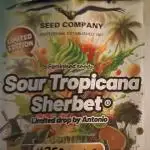 SourTropicana Sherbet & Trainwreck