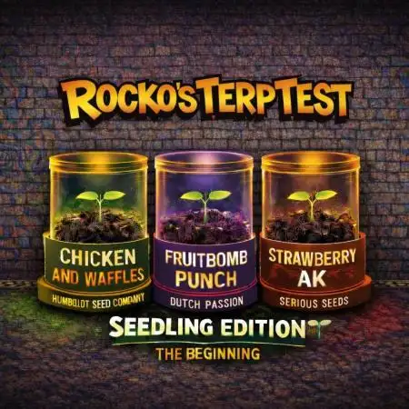 Rocko's Terp Test