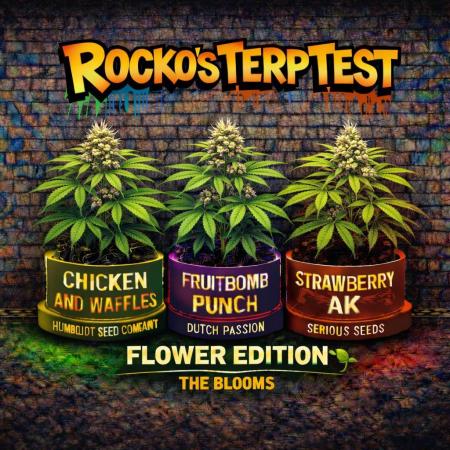 Rocko's Terp Test