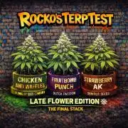 Rocko's Terp Test