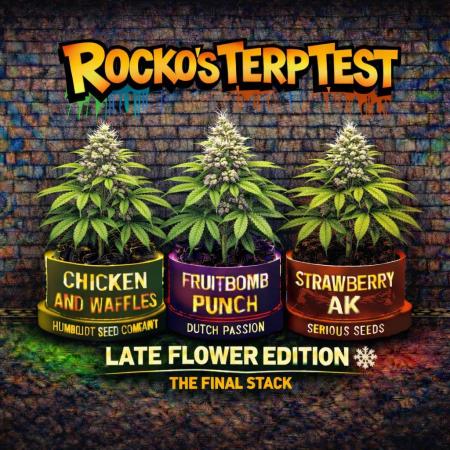 Rocko's Terp Test