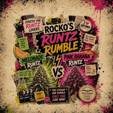 Rocko's Runtz Rumble