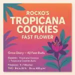 Rocko's Tropicana Cookies FF