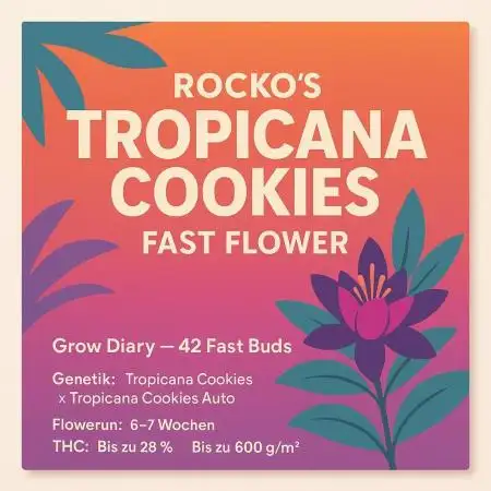 Rocko's Tropicana Cookies FF