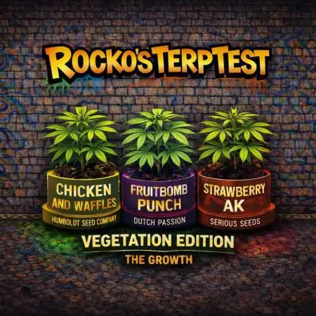 Rocko's Terp Test
