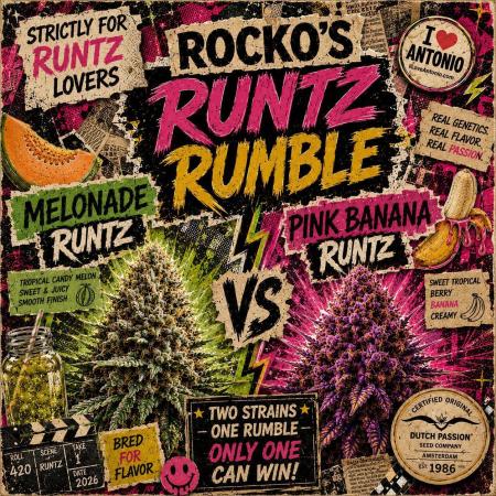 Rocko's Runtz Rumble
