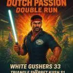 Rocko's Dutch Passion Double Run