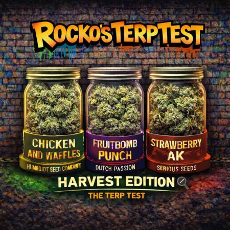 Rocko's Terp Test