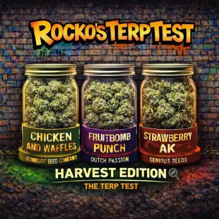 Rocko's Terp Test