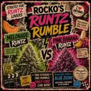 Rocko's Runtz Rumble