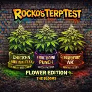 Rocko's Terp Test