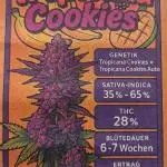 Rocko's Tropicana Cookies FF