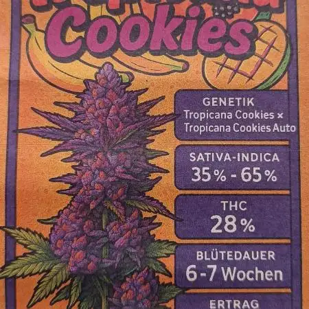 Rocko's Tropicana Cookies FF