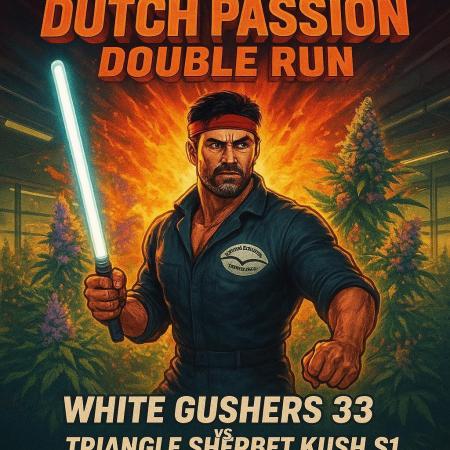 Rocko's Dutch Passion Double Run