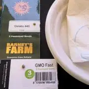 GMO Fast+Gelato #45+WeWillSee-Seed ;-)