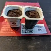 Ananas Express + Amnesia (Auto, Outdoor)