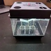 GMO Fast+Gelato #45+WeWillSee-Seed ;-)