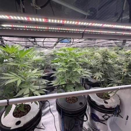 FastGrow