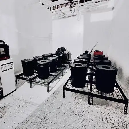 1st RDWC Grow
